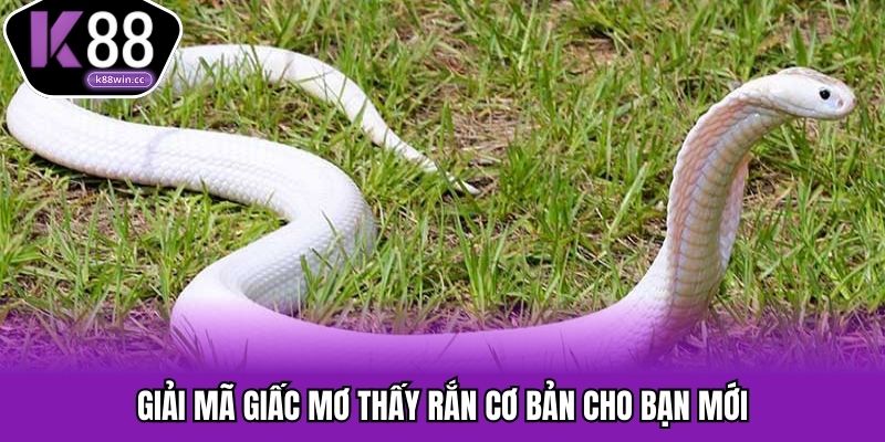 Giải mã đôi nét về giấc mơ rắn theo chuyên gia
