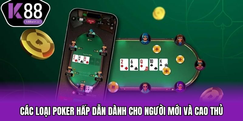 Các loại poker hấp dẫn dành cho người mới và cao thủ